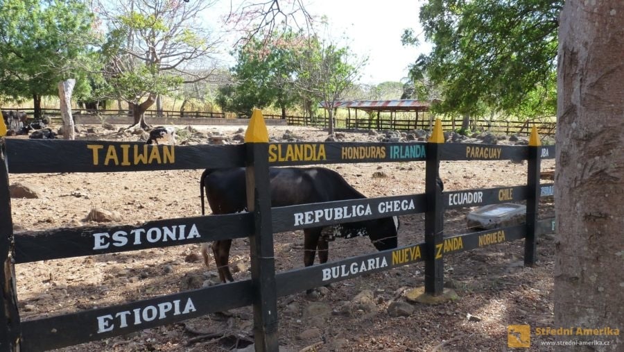 Ometepe: Služeb 