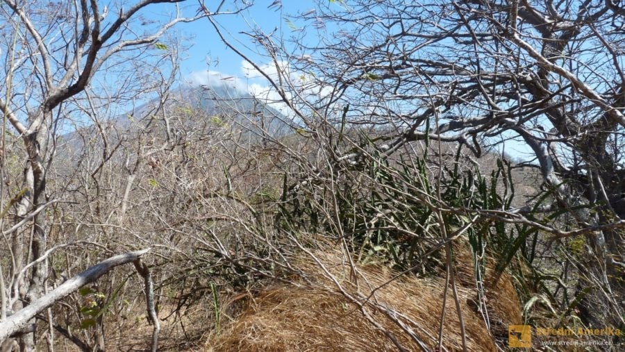 Nikaragua, období sucha na ostrově Ometepe